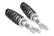 Loaded Strut Pair | Stock | Ram 1500 4WD
