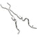 Photo - Unmounted