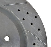 BIG Claw Up Close.jpg