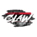 Baer Claw Image.png