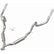 Photo - Unmounted