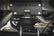 Air Spring Kit | Mercedes-Benz Sprinter 3500 (19-22)/Sprinter 3500XD (19-26) 